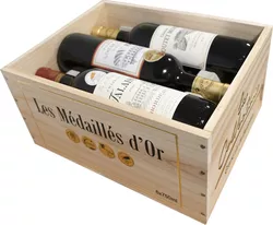 Collection Grand Vin de Bordeaux 6×0,75l GB